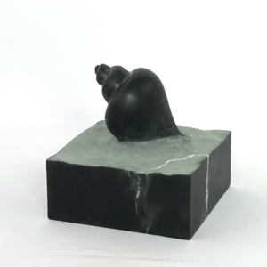 QUARRY – Image 2