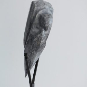 RAPACE II – Image 3