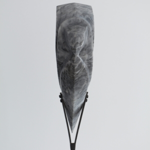 RAPACE II – Image 4